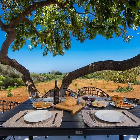 Villa Avo *